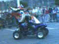 narcisroca_quad.mpg