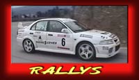 Elinks Rally´s